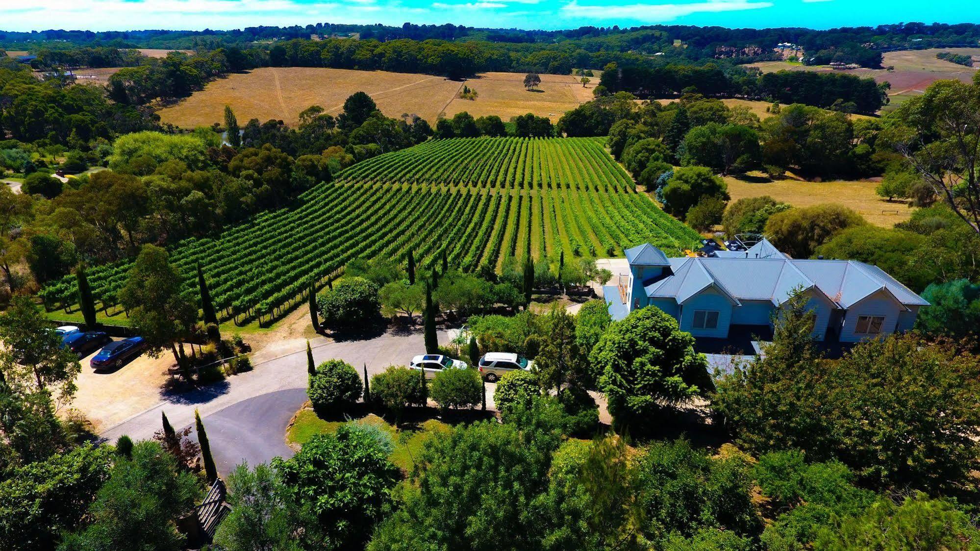 Morning Sun Vineyard Hotel Mornington Peninsula Exterior foto