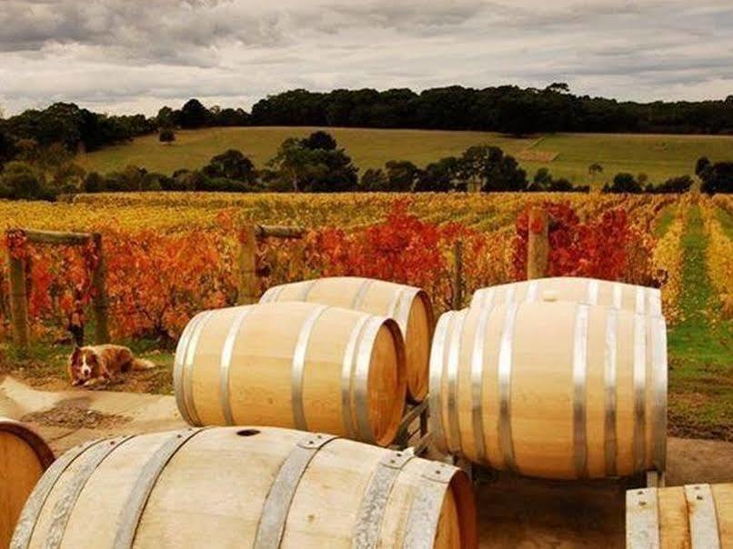 Morning Sun Vineyard Hotel Mornington Peninsula Exterior foto